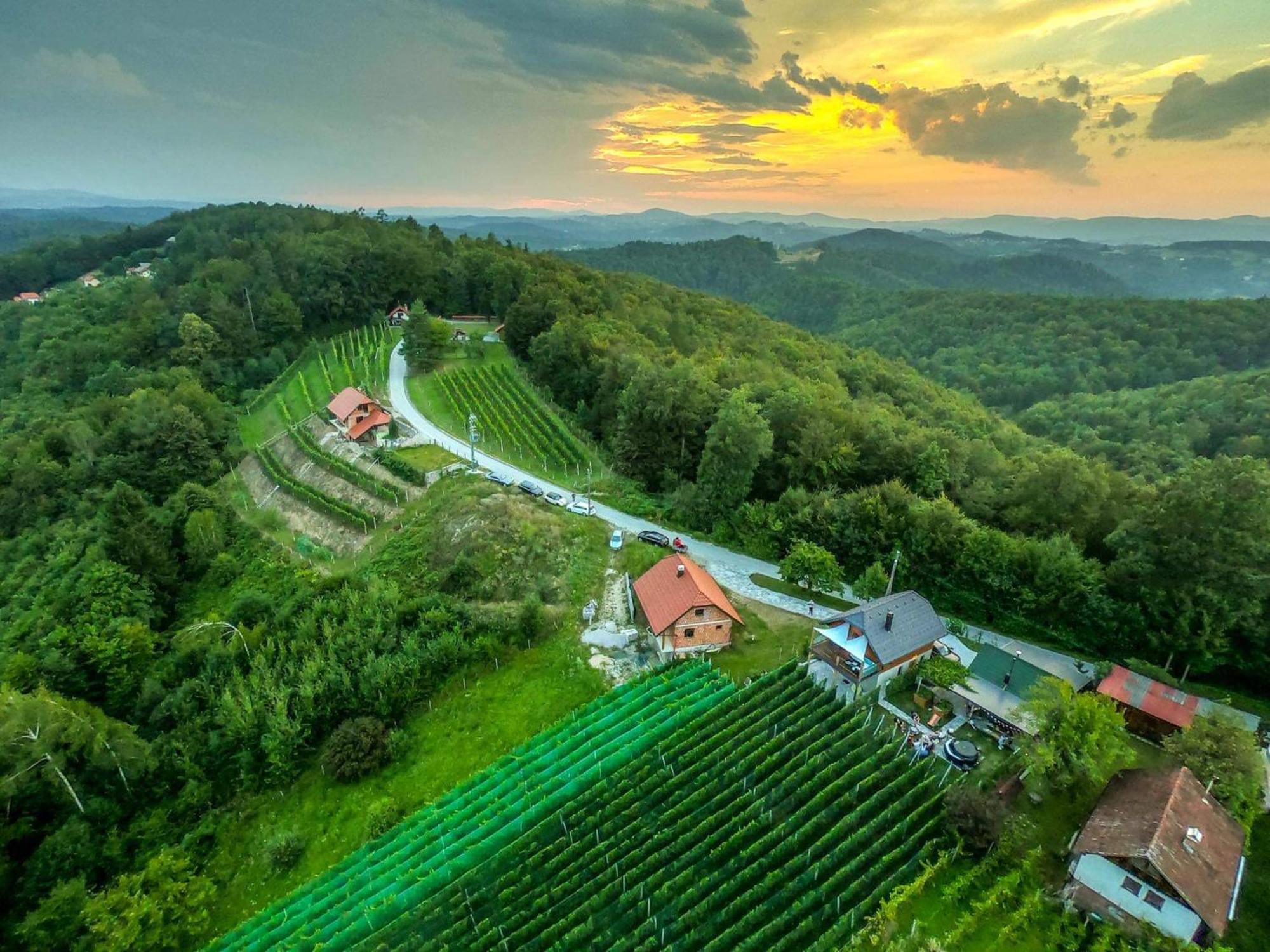 Vineyard Cottage Matej Trebnje Экстерьер фото